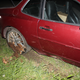 Illustration for article titled Why I Shouldnt Have Let A Racing Car Driver Drive My Car